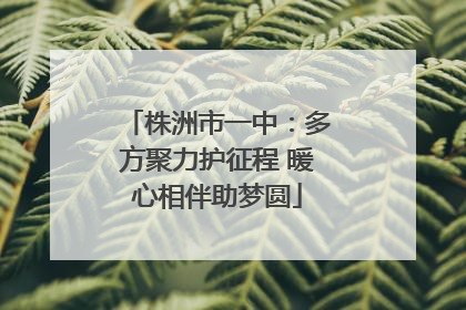 株洲市一中：多方聚力护征程 暖心相伴助梦圆