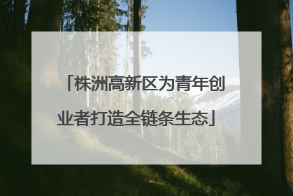 株洲高新区为青年创业者打造全链条生态