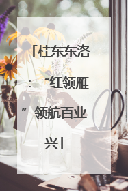 桂东东洛：“红领雁”领航百业兴