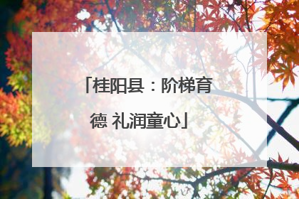桂阳县：阶梯育德 礼润童心