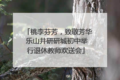 桃李芬芳，致敬芳华 乐山井研研城初中举行退休教师欢送会