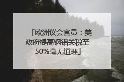 欧洲议会官员：美政府提高钢铝关税至50%毫无道理