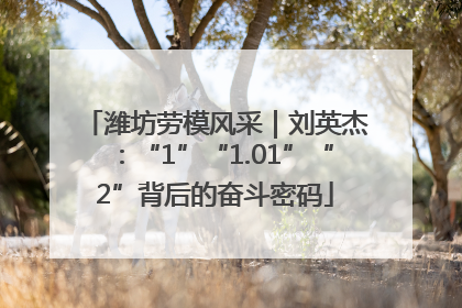 潍坊劳模风采｜刘英杰：“1”“1.01”“2”背后的奋斗密码