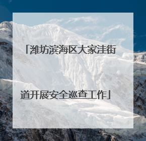 潍坊滨海区大家洼街道开展安全巡查工作