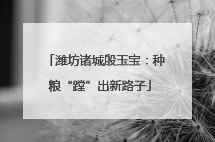 潍坊诸城殷玉宝：种粮“蹚”出新路子