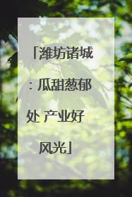 潍坊诸城：瓜甜葱郁处 产业好风光