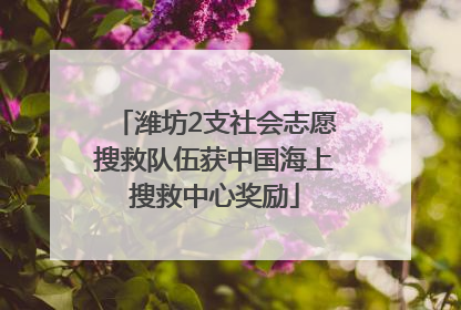 潍坊2支社会志愿搜救队伍获中国海上搜救中心奖励
