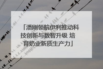 潘刚领航伊利推动科技创新与数智升级 培育奶业新质生产力