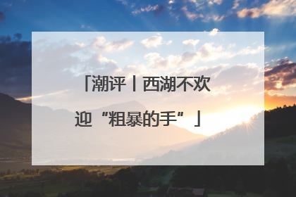 潮评丨西湖不欢迎“粗暴的手”