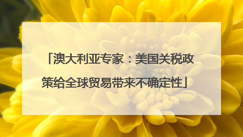 澳大利亚专家：美国关税政策给全球贸易带来不确定性