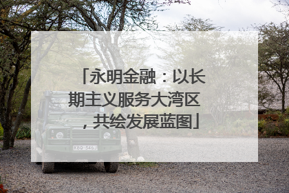 永明金融：以长期主义服务大湾区，共绘发展蓝图