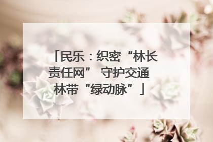民乐：织密“林长责任网” 守护交通林带“绿动脉”