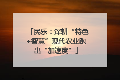 民乐：深耕“特色+智慧”现代农业跑出“加速度”