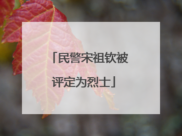 民警宋祖钦被评定为烈士