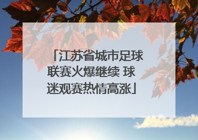 江苏省城市足球联赛火爆继续 球迷观赛热情高涨