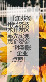 江苏扬州经济技术开发区率先实现惠企资金“秒到账” 企业点赞