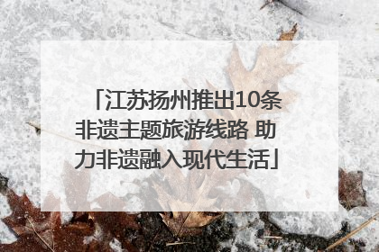 江苏扬州推出10条非遗主题旅游线路 助力非遗融入现代生活