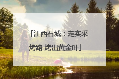 江西石城：走实采烤路 烤出黄金叶
