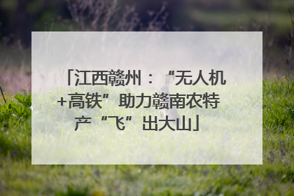 江西赣州：“无人机+高铁”助力赣南农特产“飞”出大山