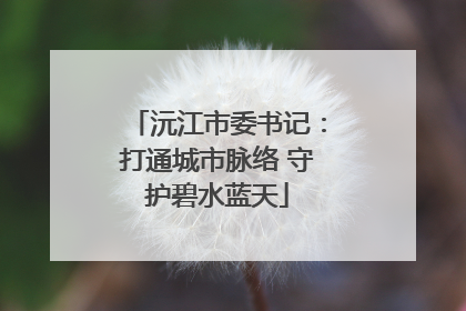 沅江市委书记：打通城市脉络 守护碧水蓝天