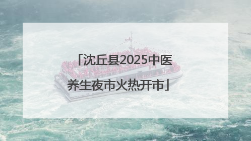 沈丘县2025中医养生夜市火热开市
