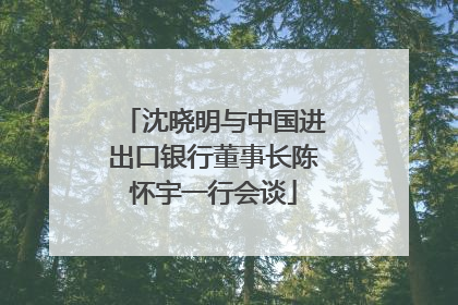 沈晓明与中国进出口银行董事长陈怀宇一行会谈