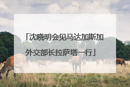 沈晓明会见马达加斯加外交部长拉萨塔一行