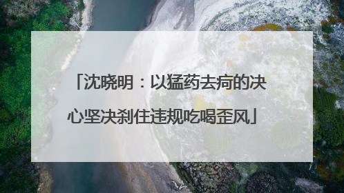 沈晓明：以猛药去疴的决心坚决刹住违规吃喝歪风