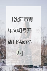 沈阳市青年文明号开放日活动举办