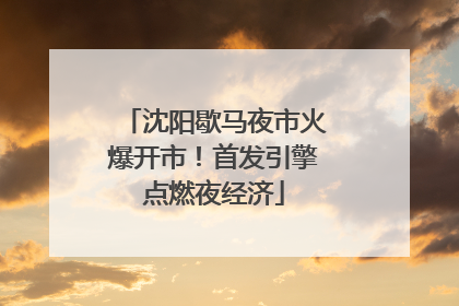 沈阳歇马夜市火爆开市！首发引擎点燃夜经济