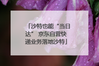 沙特也能“当日达” 京东自营快递业务落地沙特