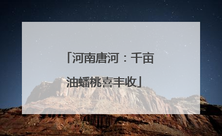 河南唐河：千亩油蟠桃喜丰收
