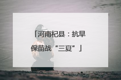 河南杞县：抗旱保苗战“三夏”