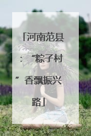 河南范县：“粽子村”香飘振兴路