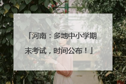 河南：多地中小学期末考试，时间公布！