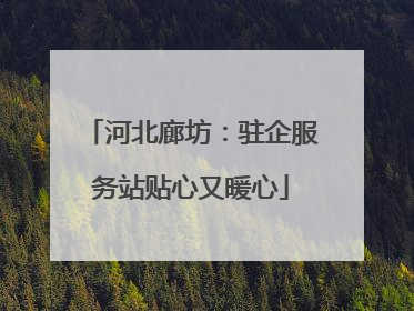 河北廊坊：驻企服务站贴心又暖心