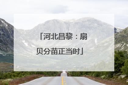 河北昌黎：扇贝分苗正当时