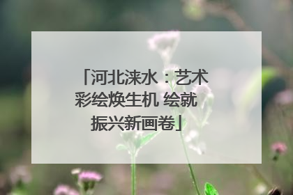 河北涞水：艺术彩绘焕生机 绘就振兴新画卷