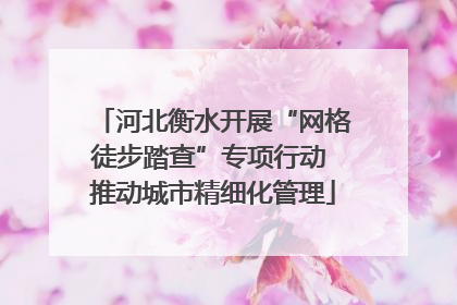 河北衡水开展“网格徒步踏查”专项行动 推动城市精细化管理