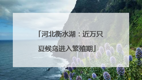 河北衡水湖：近万只夏候鸟进入繁殖期