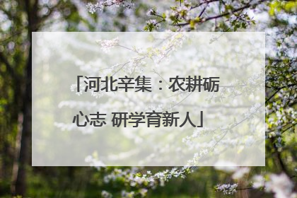 河北辛集：农耕砺心志 研学育新人
