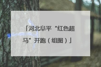 河北阜平“红色超马”开跑（组图）