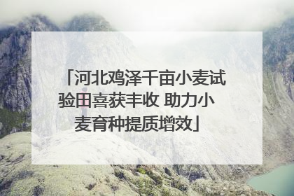 河北鸡泽千亩小麦试验田喜获丰收 助力小麦育种提质增效