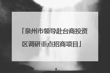 泉州市领导赴台商投资区调研重点招商项目