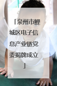 泉州市鲤城区电子信息产业链党委揭牌成立