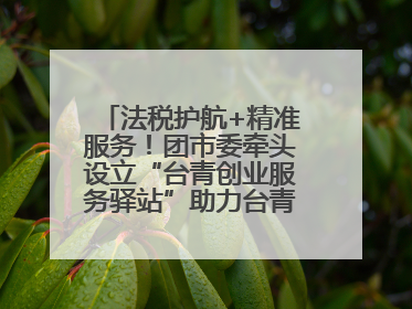 法税护航+精准服务！团市委牵头设立“台青创业服务驿站”助力台青来榕发展