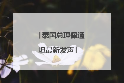 泰国总理佩通坦最新发声