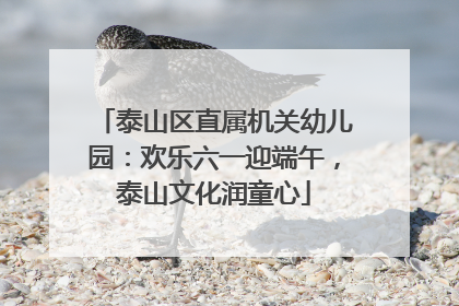 泰山区直属机关幼儿园：欢乐六一迎端午，泰山文化润童心