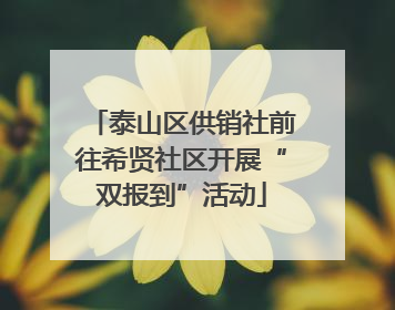 泰山区供销社前往希贤社区开展“双报到”活动