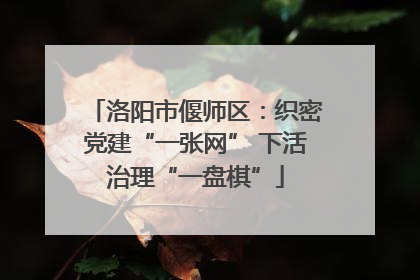 洛阳市偃师区：织密党建“一张网” 下活治理“一盘棋”